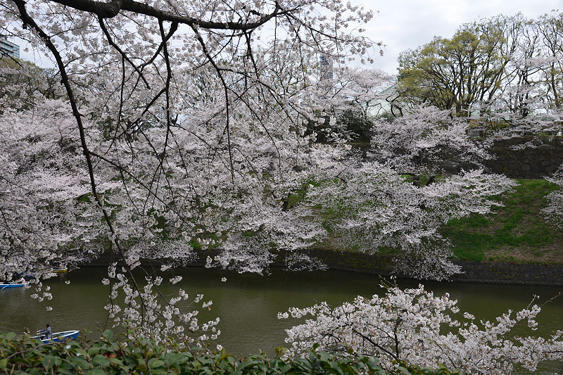 image0187
