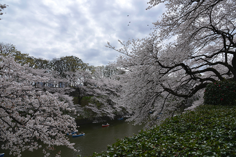 image0192