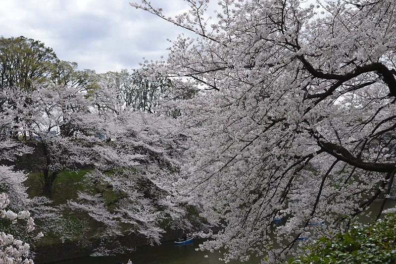 image0193