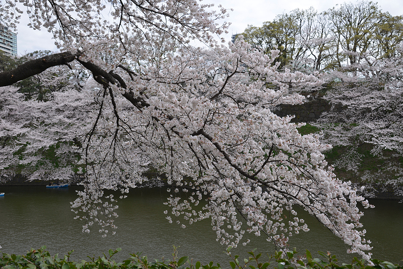 image0197