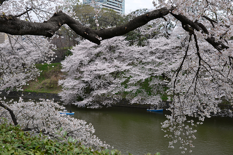 image0200