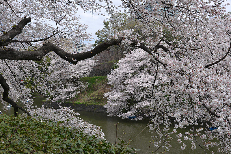 image0202