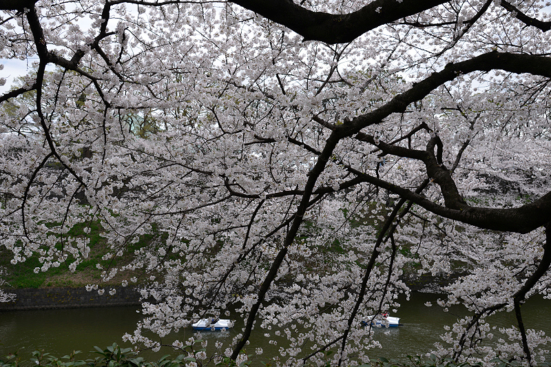 image0203