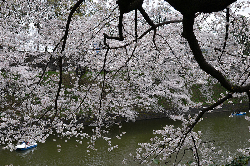 image0205