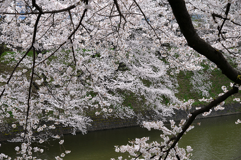 image0206
