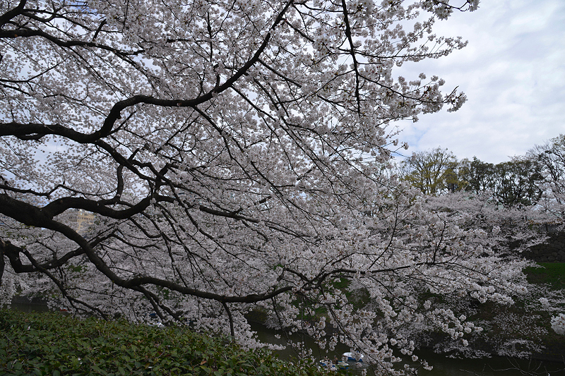image0209