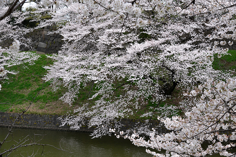 image0210