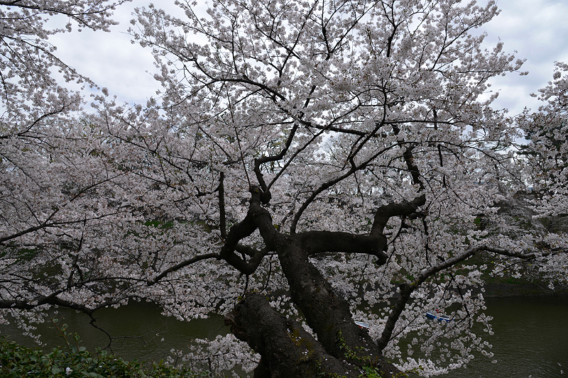 image0211