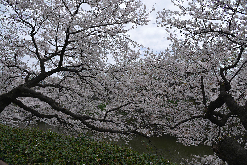 image0212
