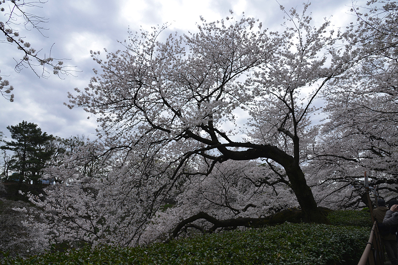 image0213
