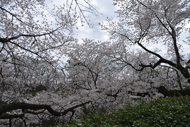 image0214