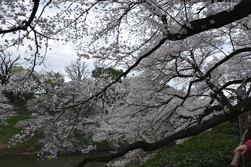 image0215