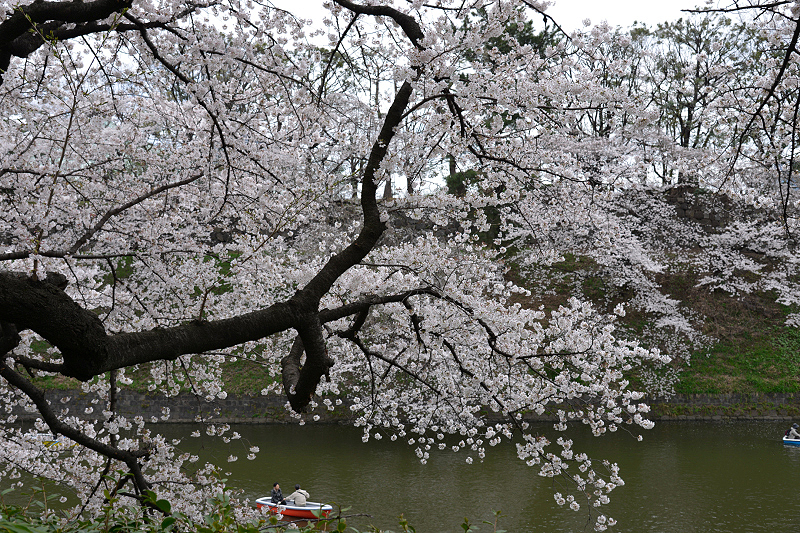 image0216