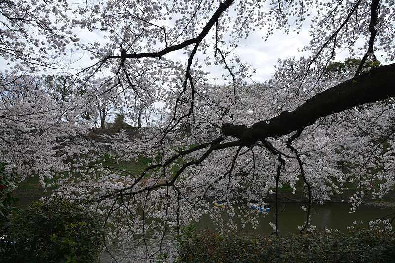 image0218