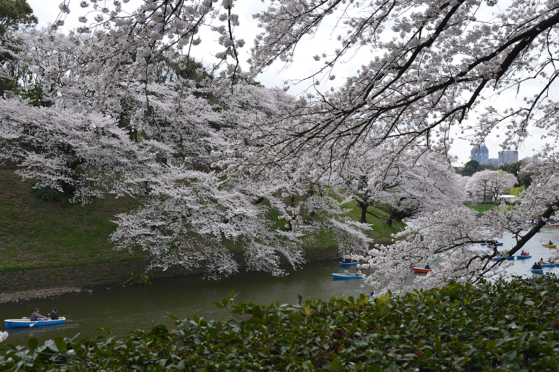 image0219