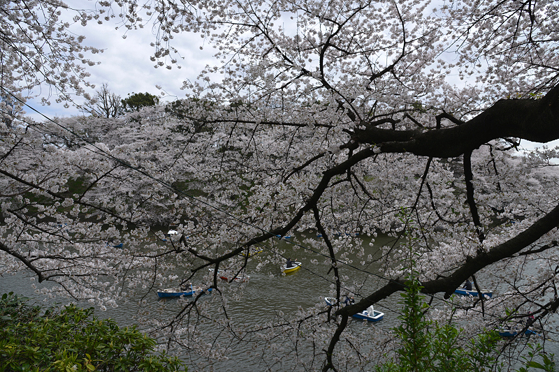 image0231