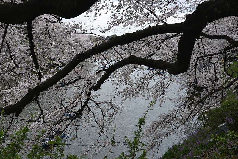 image0232