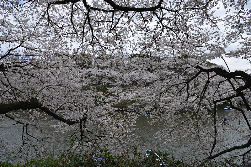 image0233