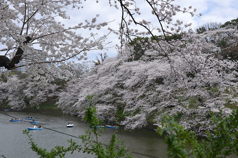 image0240