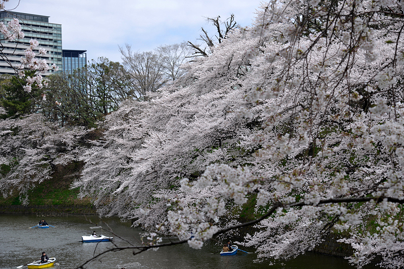 image0249