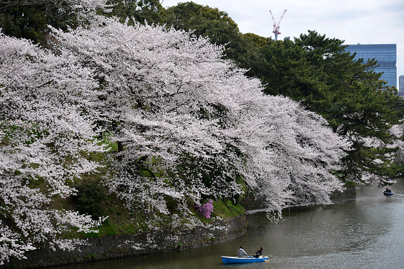 image0256