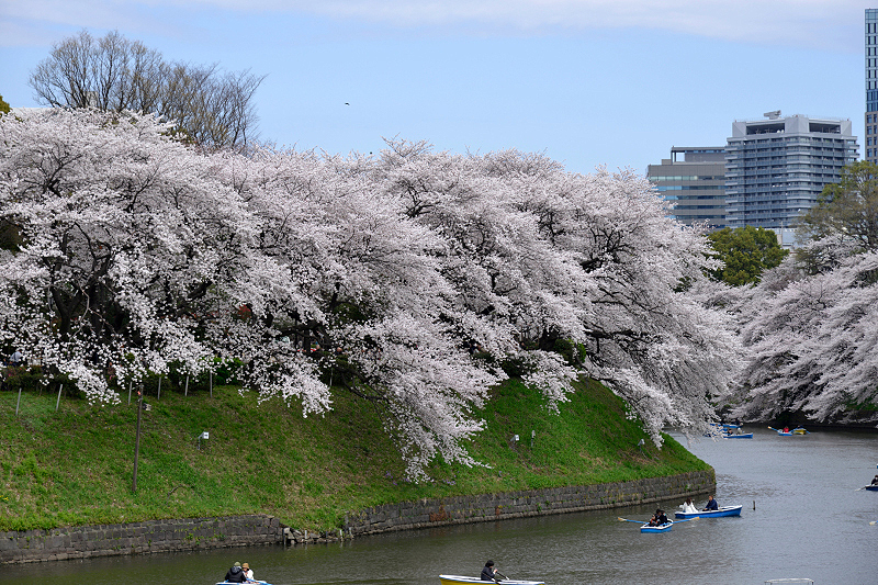 image0272
