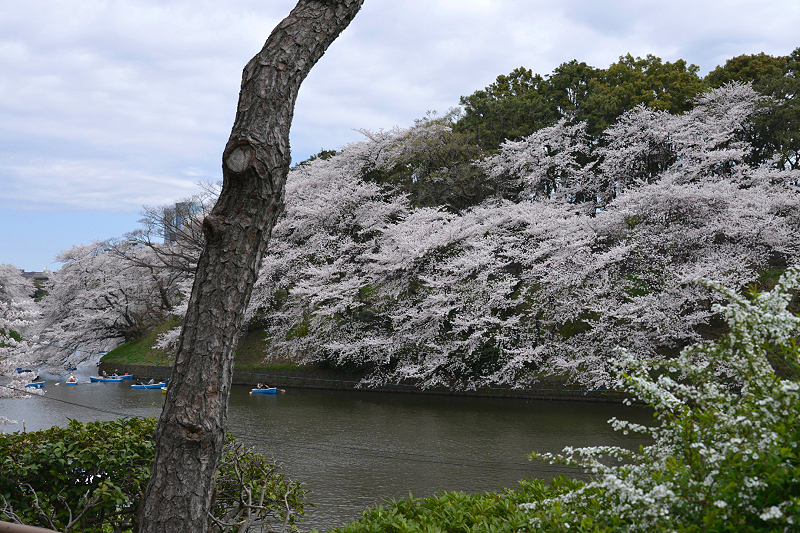 image0277