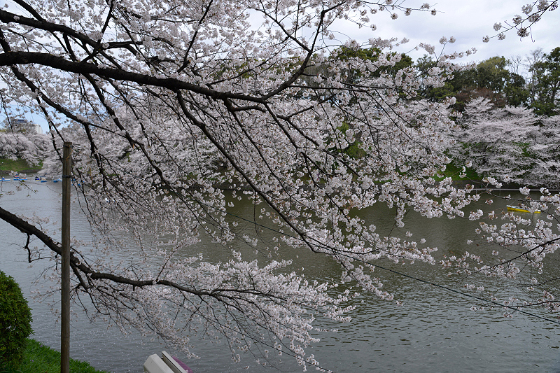 image0280