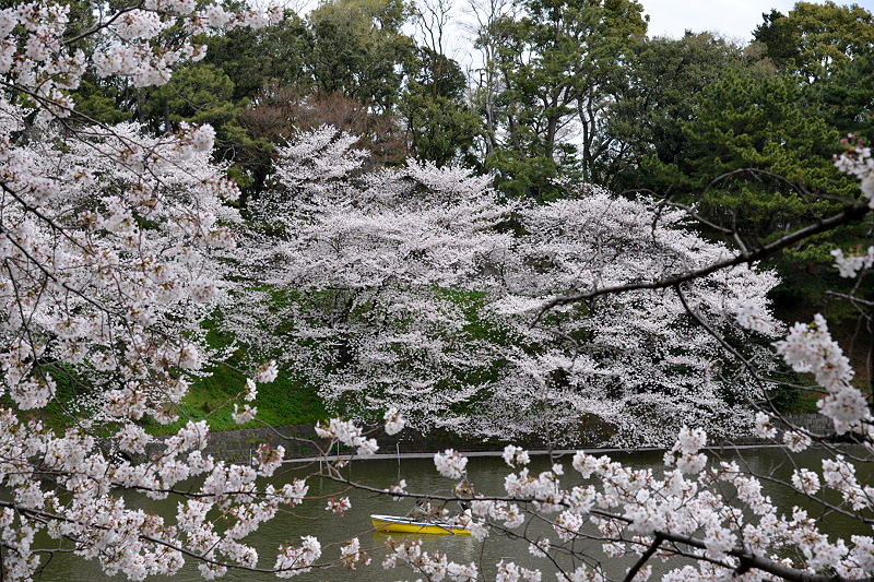 image0281