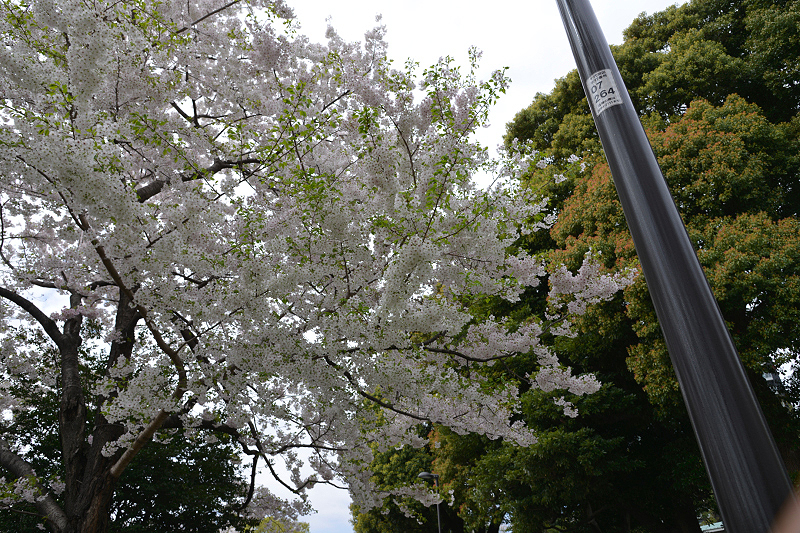 image0282