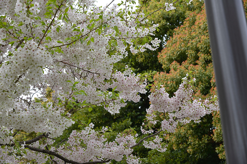 image0283