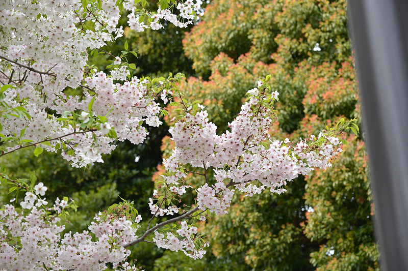 image0284