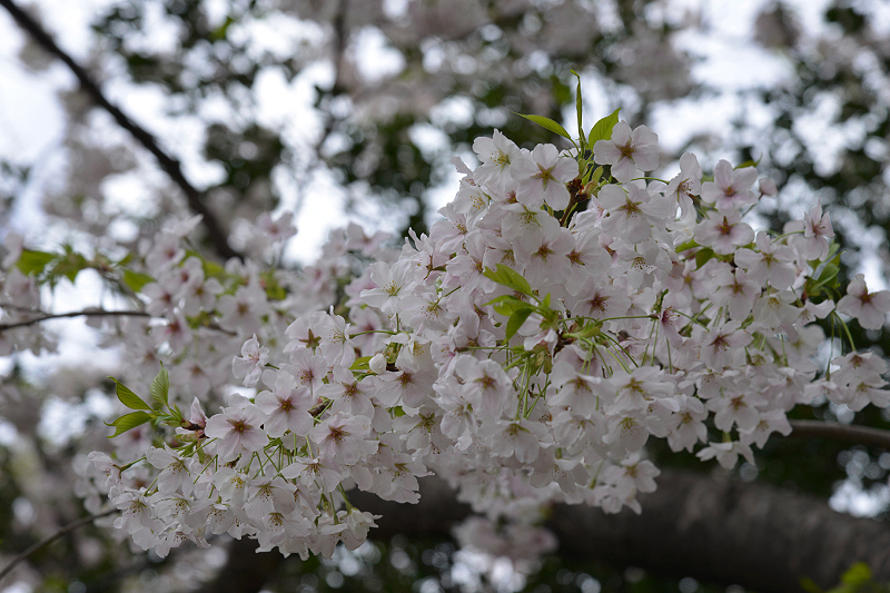 image0285