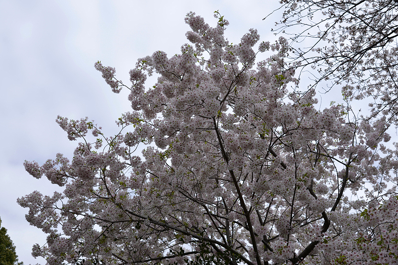 image0286
