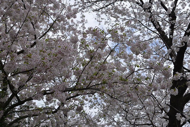 image0287