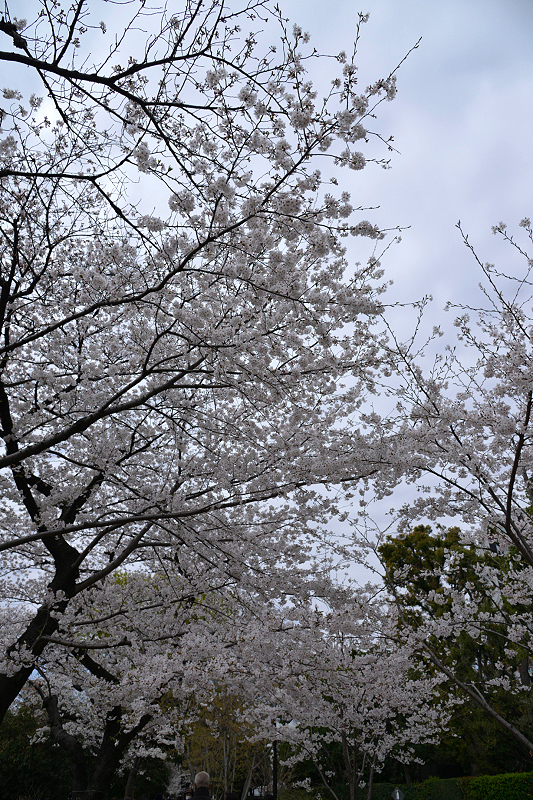 image0288