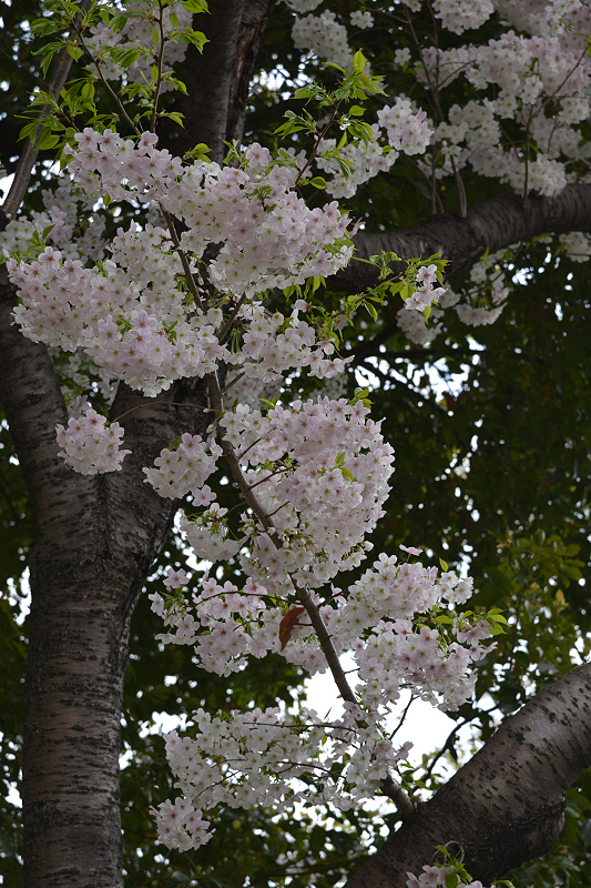 image0289