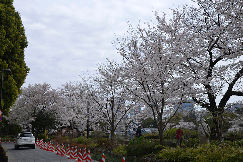 image0291