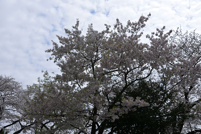 image0292