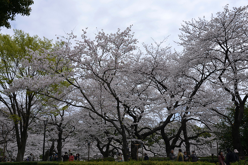 image0293