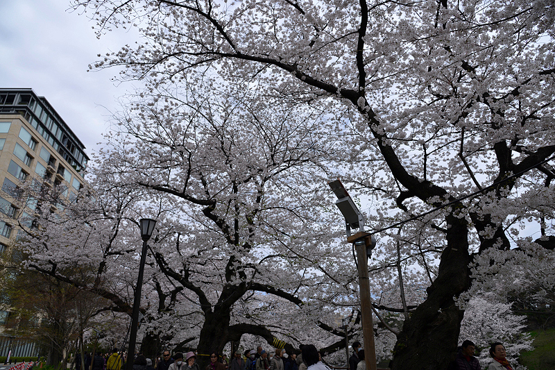 image0295
