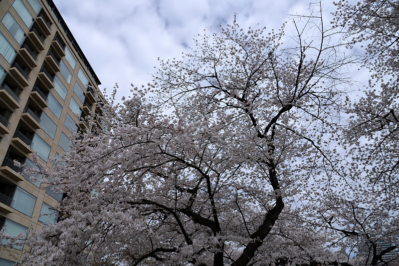 image0299