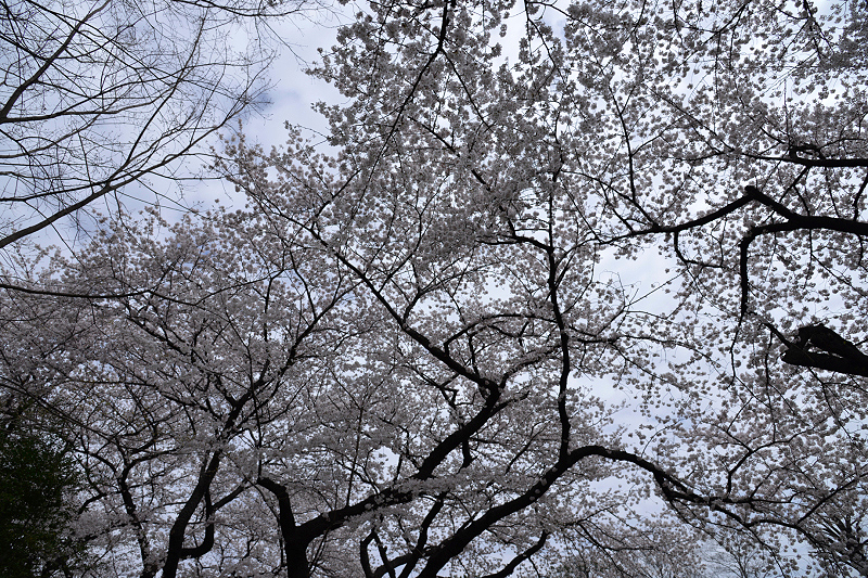image0300