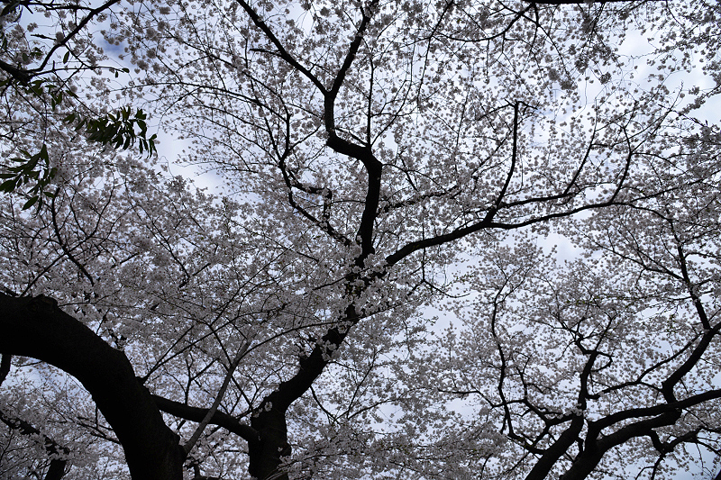 image0301