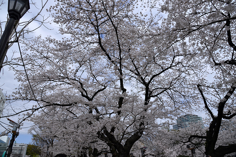 image0302