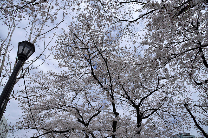image0303