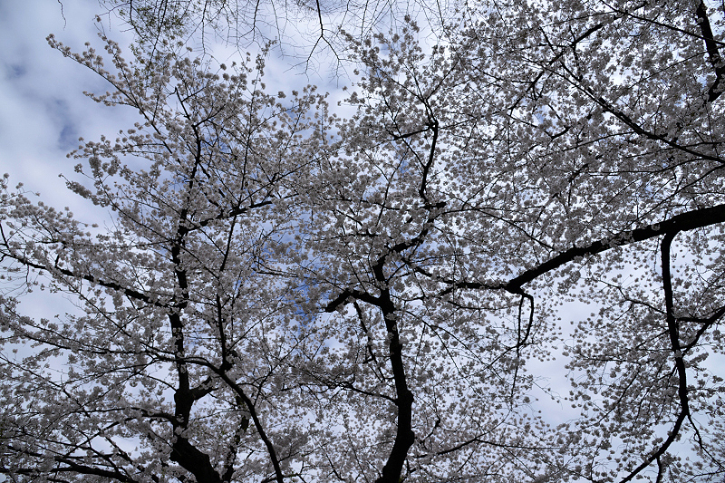 image0304
