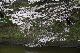 image0130