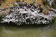 image0136