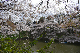 image0137